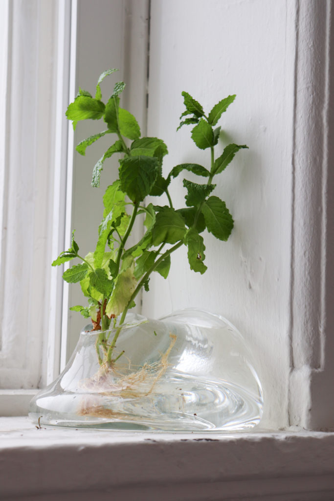 growing sorrows 5